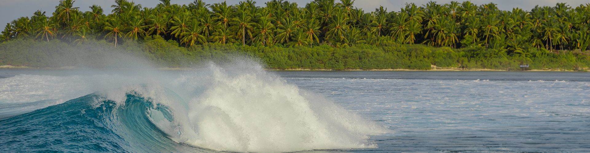 Surfing