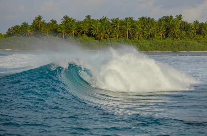 Surfing