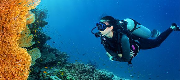 Dive Charters:  Create the ultimate dive adventure