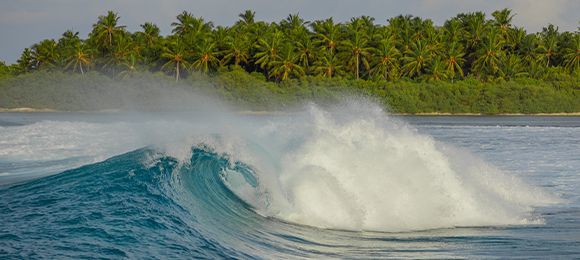 Surf Charters: Dedicate your journey to the waves!