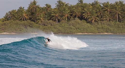 Surf Charters: Dedicate your journey to the waves!